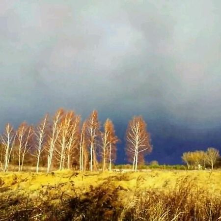 Gospodarstwo Zaborski Sad ภายนอก รูปภาพ