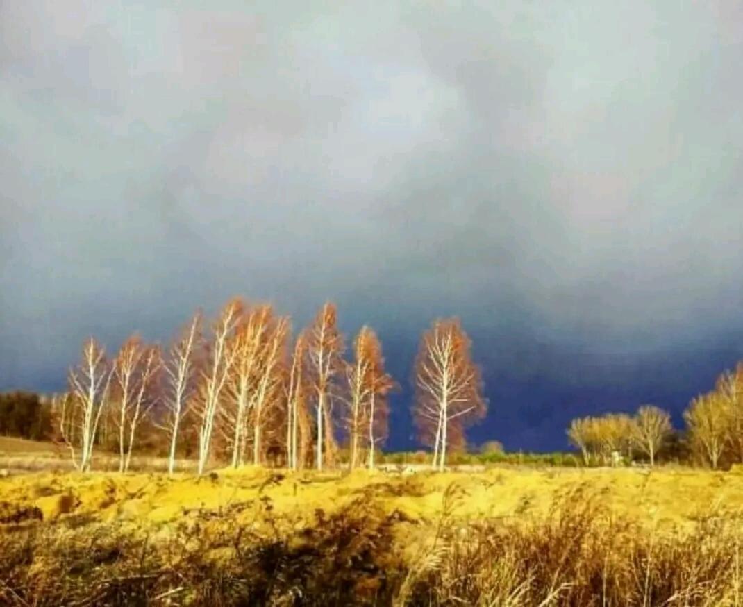 Gospodarstwo Zaborski Sad ภายนอก รูปภาพ